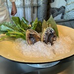 表参道うかい亭 - 