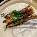 富小路 やま岸 - 