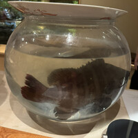 日本料理 別府 廣門 - 