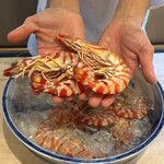 日本料理 別府 廣門 - 