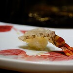 鮨 井上 - 車海老