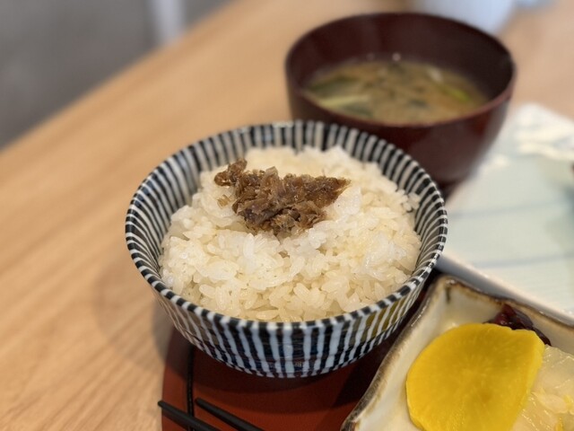 Sakana Uematsu photo 5