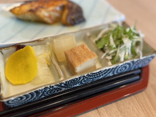 Sakana Uematsu photo 4