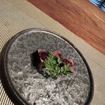 飛騨季節料理 肴 - 