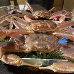 あまやどりの宿 雨情草庵 - 