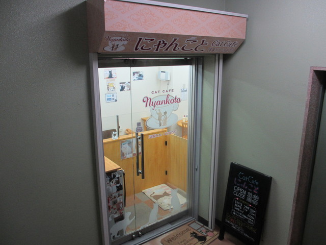 高田馬場の猫カフェ By 早瀬あゆき にゃんこと 高田馬場 その他 食べログ
