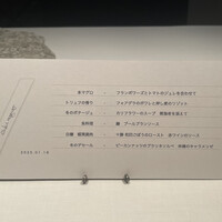 AKI NAGAO - コースは全6品。どれも美味しそうです。昼にリッチさんで蝦夷鹿肉いただいたので被ってしまいますが比較になって面白いかも。