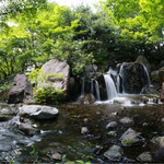 茶寮 汐入 - 白鳥庭園には滝などもあり、涼を求めた散策もおすすめ！