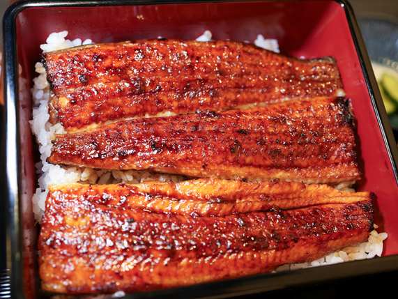 うなぎ 稲川 - 榴ケ岡（うなぎ）の写真