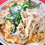 ラーメン もっけだの 鶴岡本店 - 酸辣湯麺の麺