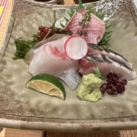 本等鮨 海馬 本店 -  本等鮨 海馬 本店 -