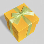 洋菓子ヴィヨン - 箱入りヴィヨネット