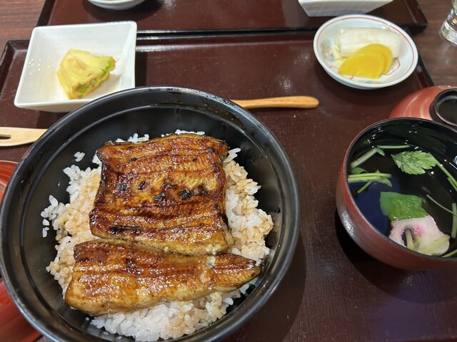 Unagi Arakawa photo 3