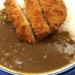 灯の来麻 - スパイシーで家庭的なカレー。