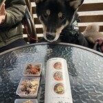 Ramen Ristorante 田所商店 premium - 