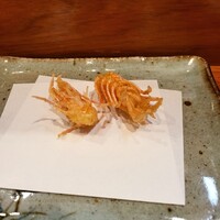 天冨良 よこ田 - 