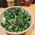 白金 酉玉 - クレソンサラダ