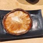 白金 酉玉 - 椎茸