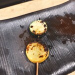 白金 酉玉 - ズッキーニ