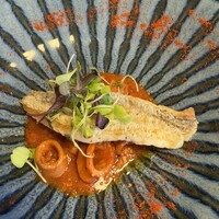 トラットリア イル レガーロ - 