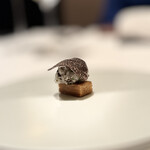 カンテサンス - 