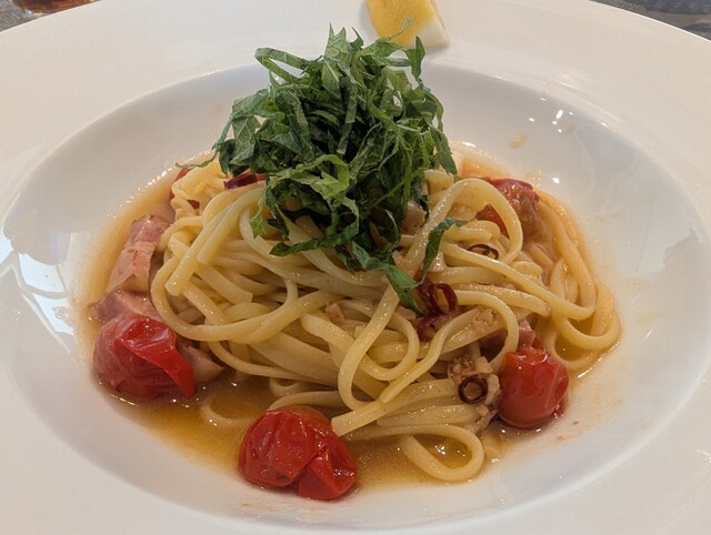 Costa Rica City Garden photo