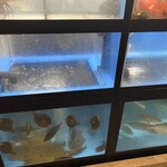 第8八千代丸 - ◎内観　いけす　カワハギが新鮮なのが納得！
