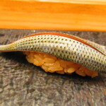 鮨処 凜 - 大将おまかせ　１５０００円（税込）　握り-６　小肌　【２０２５年１月】