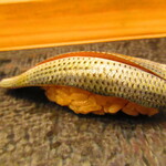 鮨処 凜 - 大将おまかせ　１５０００円（税込）　握り-６　小肌　【２０２５年１月】