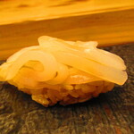 鮨処 凜 - 大将おまかせ　１５０００円（税込）　握り-４　京都舞鶴産あおりいか【２０２５年１月】