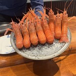 馳走西健一 - 網ではなく籠漁のため丁寧に水揚げされ生きたままお店へ