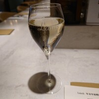 ダルマット 六本木ヒルズ店 - 