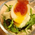 フィッシュ オン ディッシュ ロリー - 