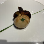 レフェルヴェソンス - 