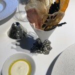 レフェルヴェソンス - 