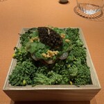 モノリス - 2皿目
      菜の花、甘海老のタルタル、オシェトラキャビア、山葵のサワークリーム、パートブリゼを使ったタルト仕立て。