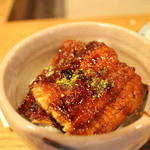 柳家 - 矢作川天然鰻うな丼