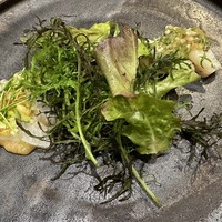 Selvaggio - 
