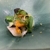 Selvaggio - 