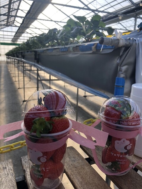 ケロケロの杜（KEROKERO NO MORI） - 仙台空港（その他）の写真