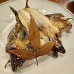 ゆう - 「目光の開き」@1320