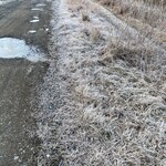 山玄茶 - 参考写真、朝の散歩をしてから出かけます