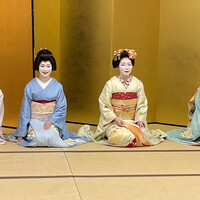 京懐石 みのきち 新宿住友店 - 祇園東のお茶屋さん叶屋から来てくれた芸舞妓さん
