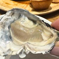 Seafood bar Ermitage 横浜鶴屋町店 - 