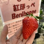 姫路ハートフル観光農園 - 