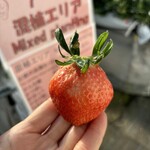 姫路ハートフル観光農園 - 