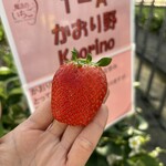 姫路ハートフル観光農園 - 