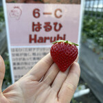 姫路ハートフル観光農園 - 