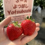 姫路ハートフル観光農園 - 