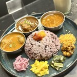 Curry Spice Gelateria KALPASI - 